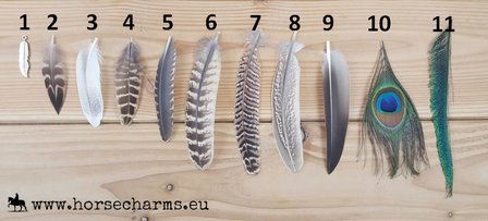 Manenclip &#039;Feather&#039;