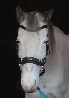 Horse Charms Bitloos Hoofdstel 'Bo' 