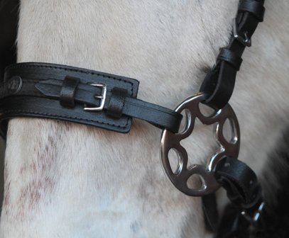 Horse Charms Bitless Bridle &#039;Bo&#039; 