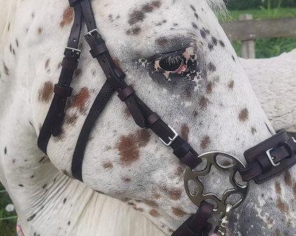 Horse Charms Bitloos Hoofdstel 'Indy' 