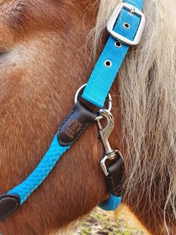 Horse Charms Halster &#039;Original Turquoise&#039; 