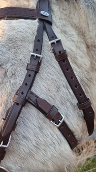 Horse Charms Bitless Bridle &#039;Indy&#039; 