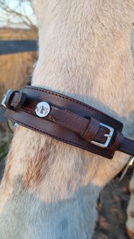 Horse Charms Bitless Bridle &#039;Indy&#039; 