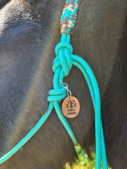 Horse Charms Ropehalter Deluxe &#039;Amazing Mint&#039;