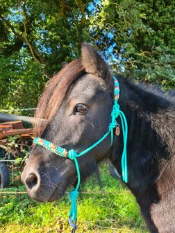 Horse Charms Touwhalster Deluxe &#039;Amazing Mint&#039;