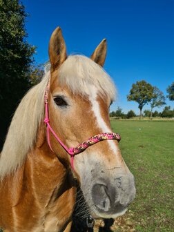 Horse Charms Ropehalter Deluxe &#039;Sweet Pink&#039;