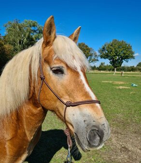 Horse Charms Touwhalster Basic &#039;Natural Brown&#039;