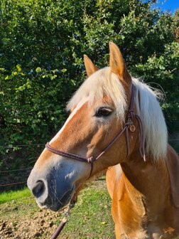 Horse Charms Touwhalster Basic &#039;Natural Brown&#039;