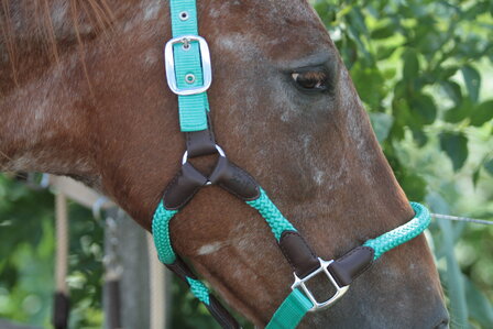 Horse Charms Halter &#039;Amazing Mint&#039; 