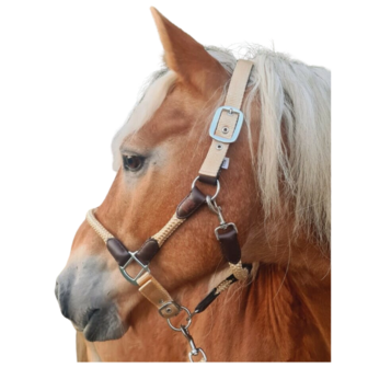 Horse Charms Halter &#039;Original Turqoise&#039; 