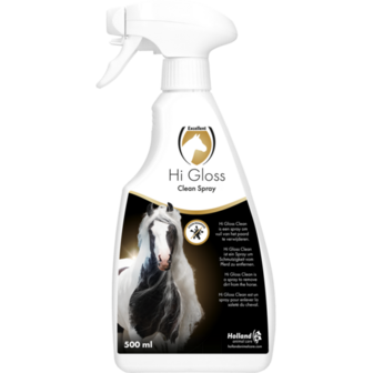 Hi Gloss Clean Spray