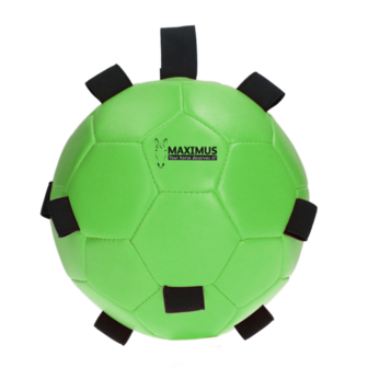 Maximus Fun Play Ball - Groen