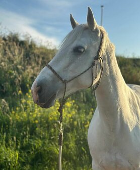 GRATIS basic touwhalster bij besteding van &euro;25 of meer