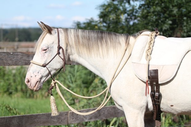 SET - Natural hackamore - Touwhalster, teugels & leadrope in 1