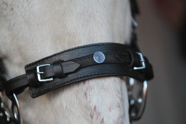 Horse Charms Bitloos Hoofdstel 'Bo' 