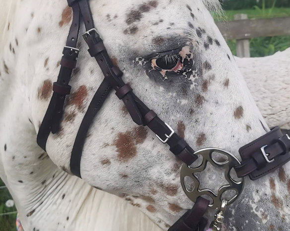 Horse Charms Bitless Bridle 'Indy' 