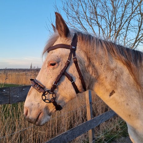 Horse Charms Bitloos Hoofdstel 'Indy' 