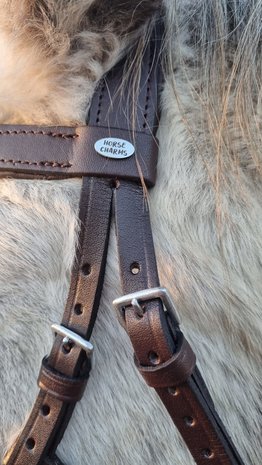 Horse Charms Bitless Bridle 'Indy' 