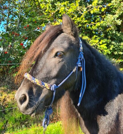 Horse Charms Ropehalter Deluxe 'Magnificent Blue'