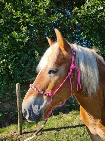 Horse Charms Ropehalter Deluxe 'Sweet Pink'