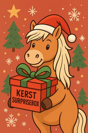 Kerst Surprise Box |PAARD| 50 euro